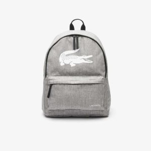 Lacoste Backpack with Laptop Pocket Olika Färger | ZVGRK-8473