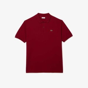 Lacoste Big Fit Bomull Petit Pique Vinröda | AITXV-9658