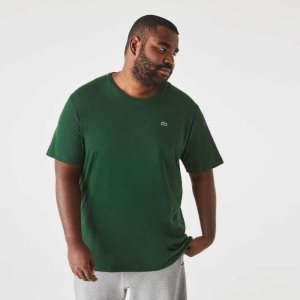 Lacoste Big Fit Crew Neck Bomull Jersey Gröna | RBCHZ-7086