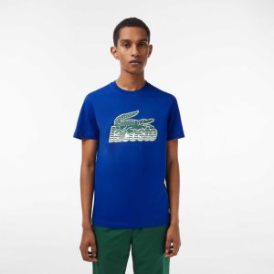 Lacoste Bomull Jersey Print Blå | LUAEZ-5481