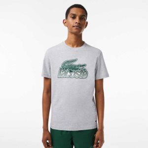 Lacoste Bomull Jersey Print Grå | IAVSE-3761