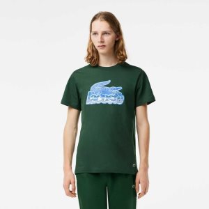 Lacoste Bomull Jersey Print Gröna | ARDZC-7459