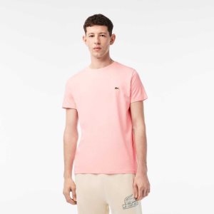 Lacoste Crew Neck Pima Bomull Jersey Rosa | QOXYE-2764