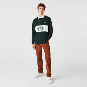 Lacoste Hetero Fit Corduroy Chinos Bruna | SMDVA-6389