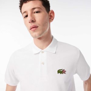 Lacoste Netflix Organic Bomull Olika Färger | INUHF-0593