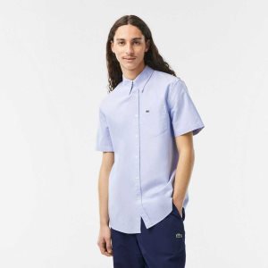 Lacoste Regular Fit Oxford Bomull Blå | FWVZM-1872