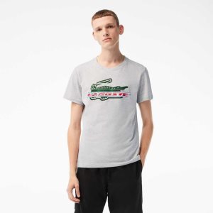 Lacoste SPORT Regular Fit Organic Bomull Grå | KNUQF-5642