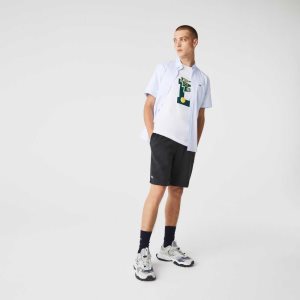 Lacoste SPORT Tennis Fleece Grå | GMPEO-3267