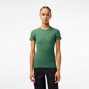 Lacoste Slim Fit Organic Bomull T-Shirt Khaki Gröna | ALWZK-5863