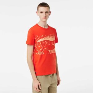 Lacoste Tennis x Novak Djokovic Orange | KJZRO-8690