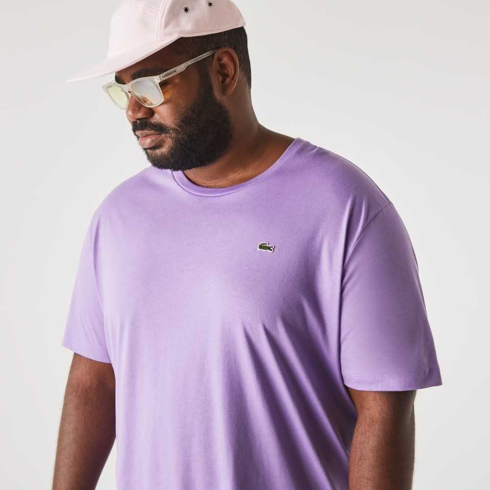 Lacoste Big Fit Crew Neck Bomull Jersey Lila | HTMRX-9176