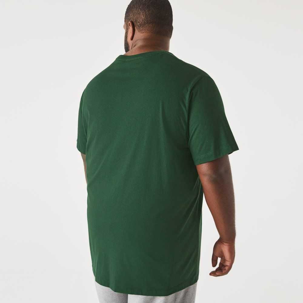 Lacoste Big Fit Crew Neck Bomull Jersey Gröna | RBCHZ-7086