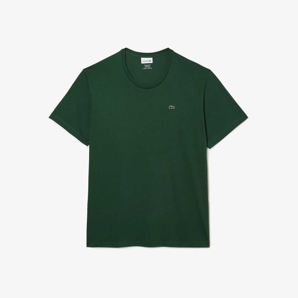 Lacoste Big Fit Crew Neck Bomull Jersey Gröna | RBCHZ-7086