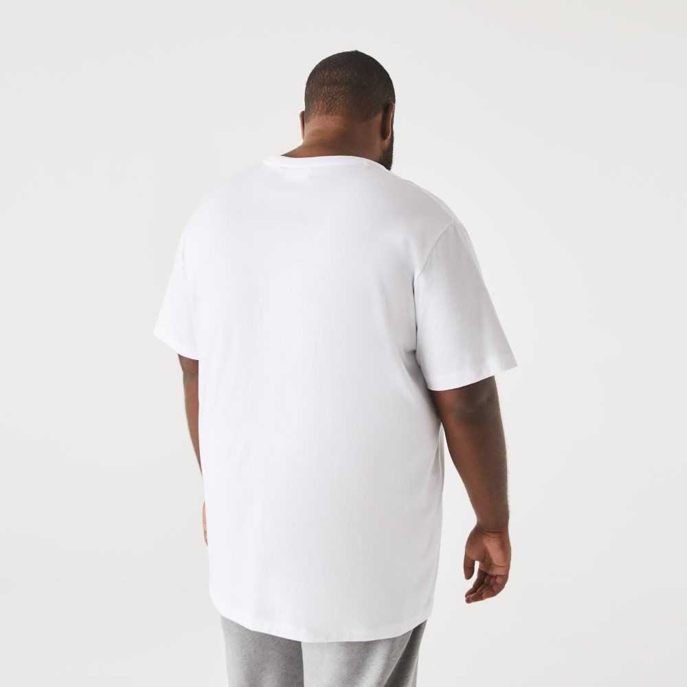 Lacoste Big Fit Crew Neck Bomull Jersey Vita | TJCMS-7105