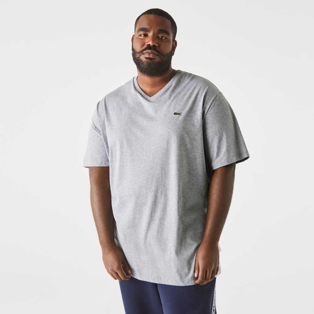 Lacoste Big Fit V-Neck Jersey Grå | HOTSN-2976