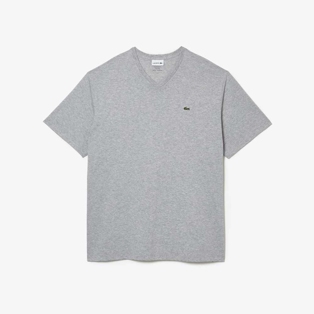 Lacoste Big Fit V-Neck Jersey Grå | HOTSN-2976