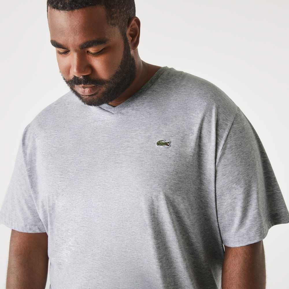 Lacoste Big Fit V-Neck Jersey Grå | HOTSN-2976