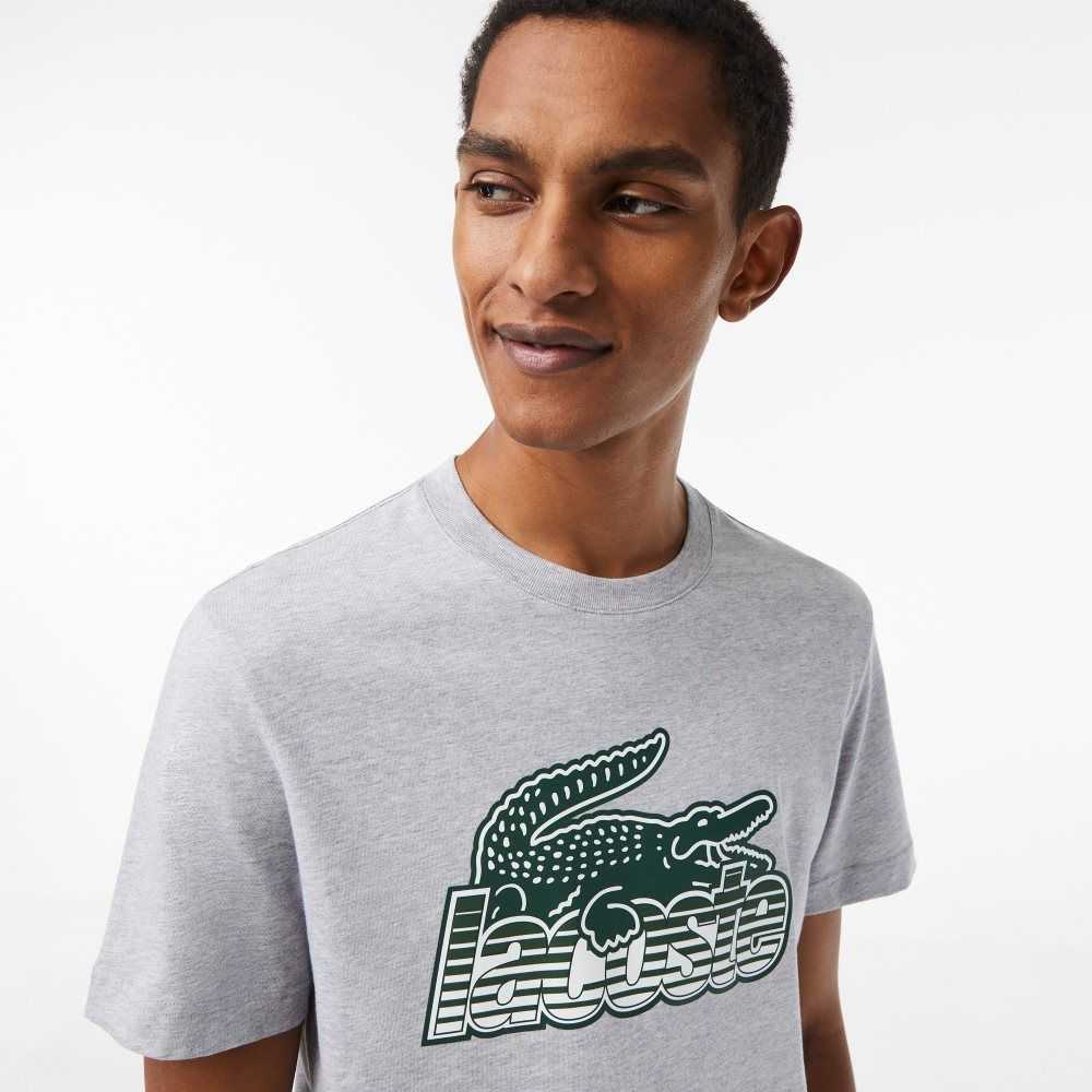 Lacoste Bomull Jersey Print Grå | IAVSE-3761