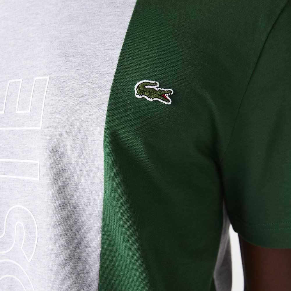 Lacoste Branded Crew Neck Bomull Grå Blå Gröna | IWEVP-7193