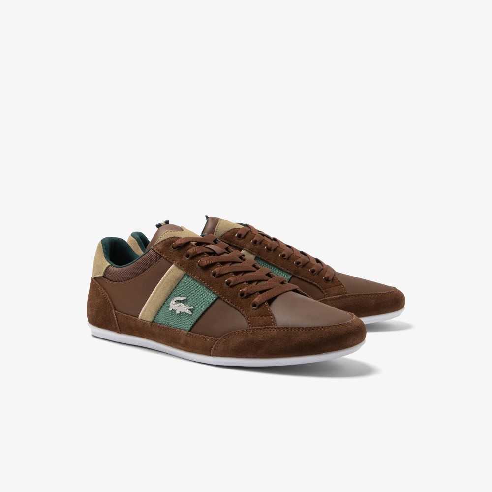 Lacoste Chaymon Läder Bruna Gröna | UPRLF-4163