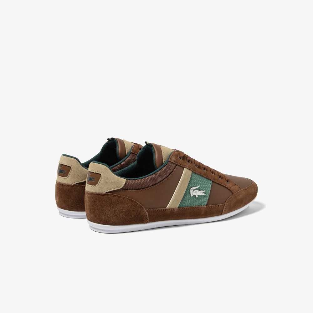 Lacoste Chaymon Läder Bruna Gröna | UPRLF-4163