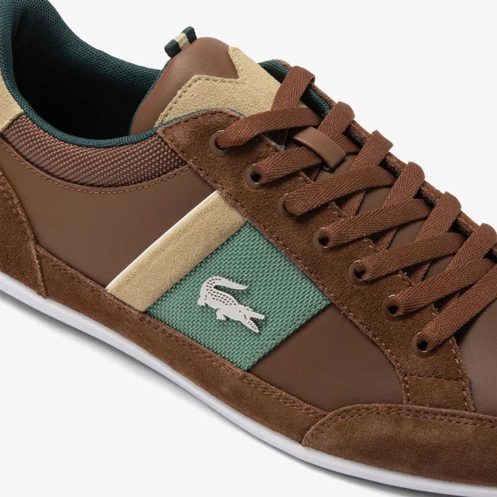 Lacoste Chaymon Läder Bruna Gröna | UPRLF-4163