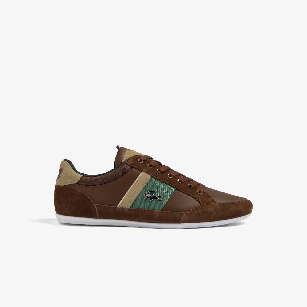 Lacoste Chaymon Läder Bruna Gröna | UPRLF-4163