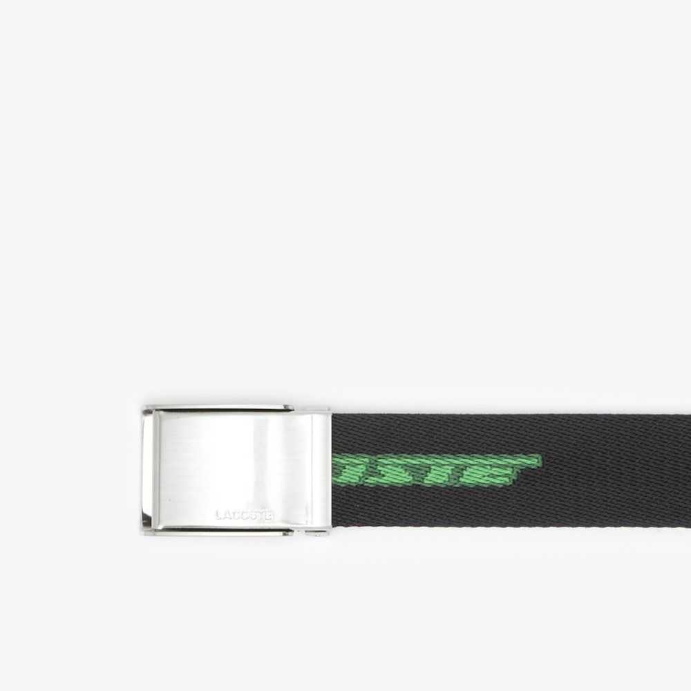 Lacoste Contrast Logo Print Belt Olika Färger | LPYDF-3756