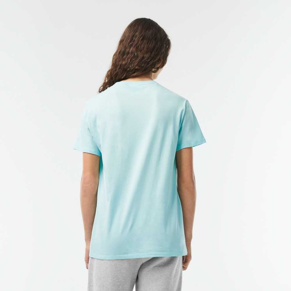 Lacoste Crew Neck Pima Bomull Jersey Mintgröna | CIFHS-0394