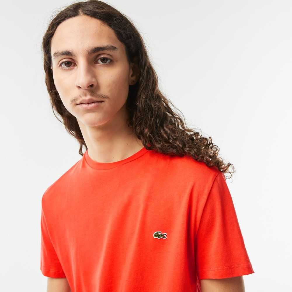 Lacoste Crew Neck Pima Bomull Jersey Orange | PFXDK-4651