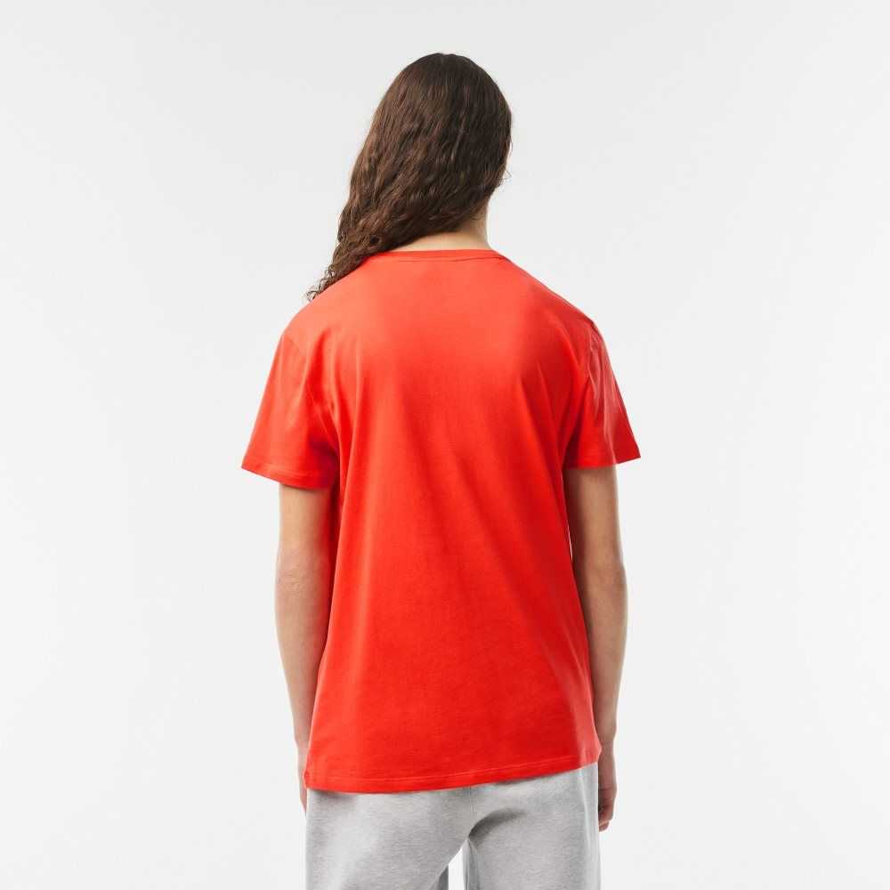 Lacoste Crew Neck Pima Bomull Jersey Orange | PFXDK-4651