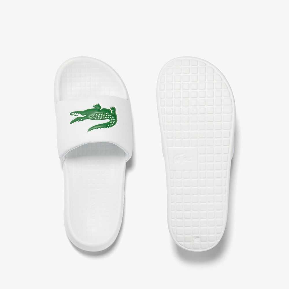 Lacoste Croco 1.0 Vita Gröna | MSVKN-7920