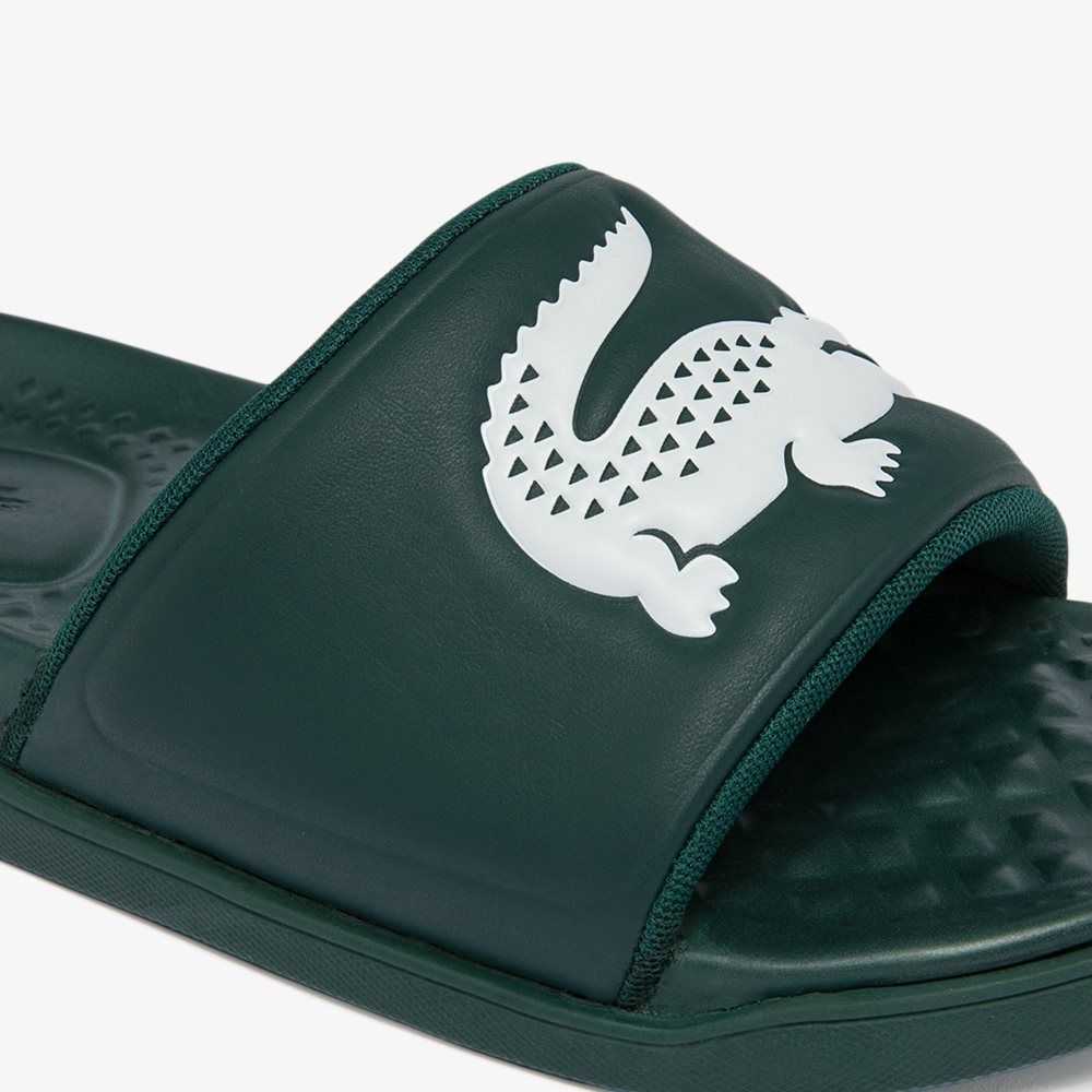 Lacoste Croco Dualiste Logo Rem Gröna Vita | FJHAQ-2451