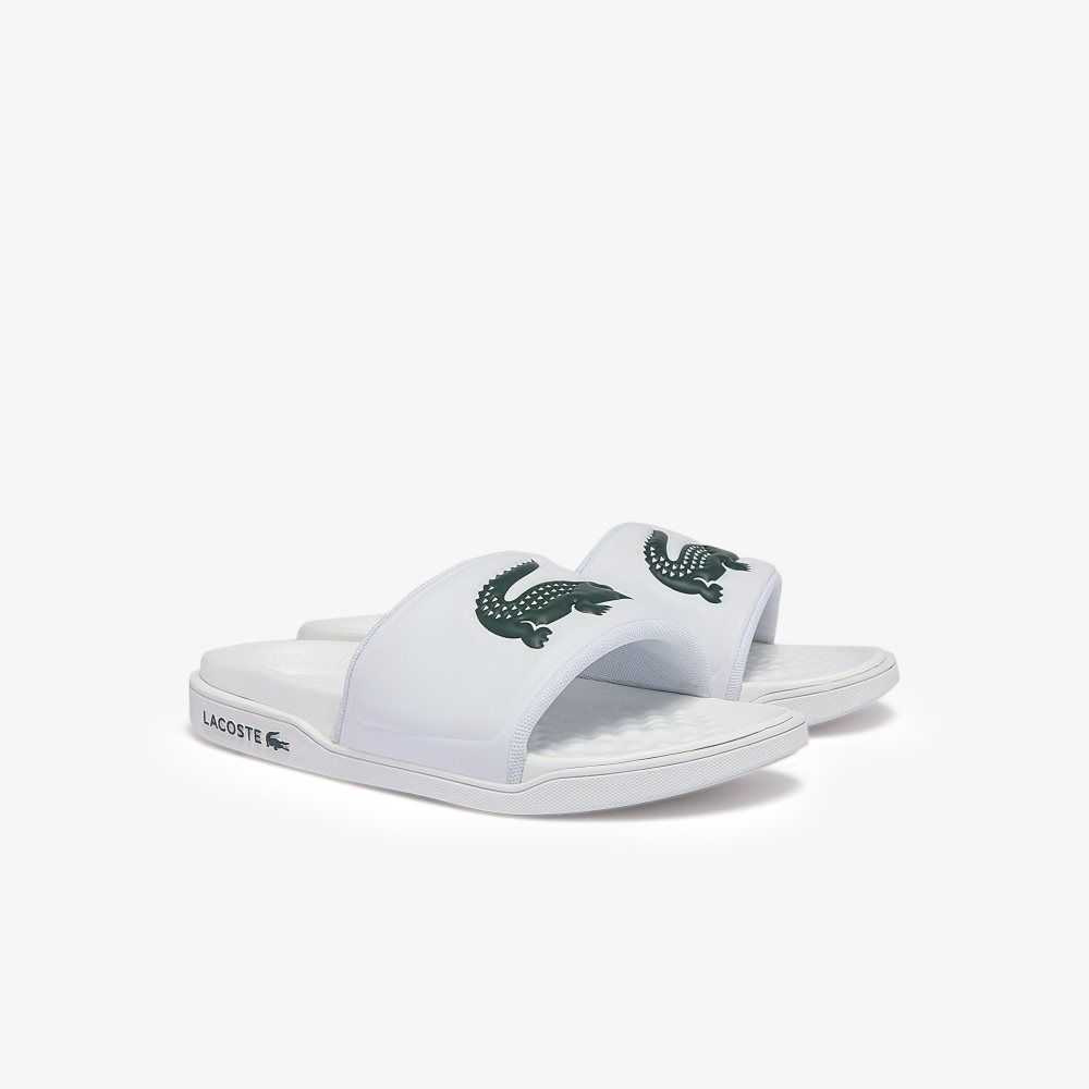 Lacoste Croco Dualiste Logo Rem Vita Mörkgröna | DLJAO-3795