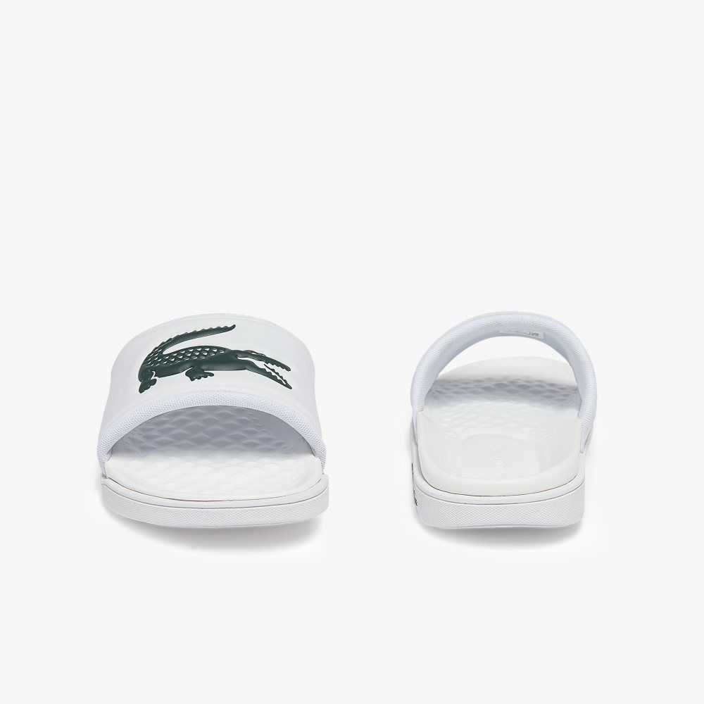 Lacoste Croco Dualiste Logo Rem Vita Mörkgröna | DLJAO-3795