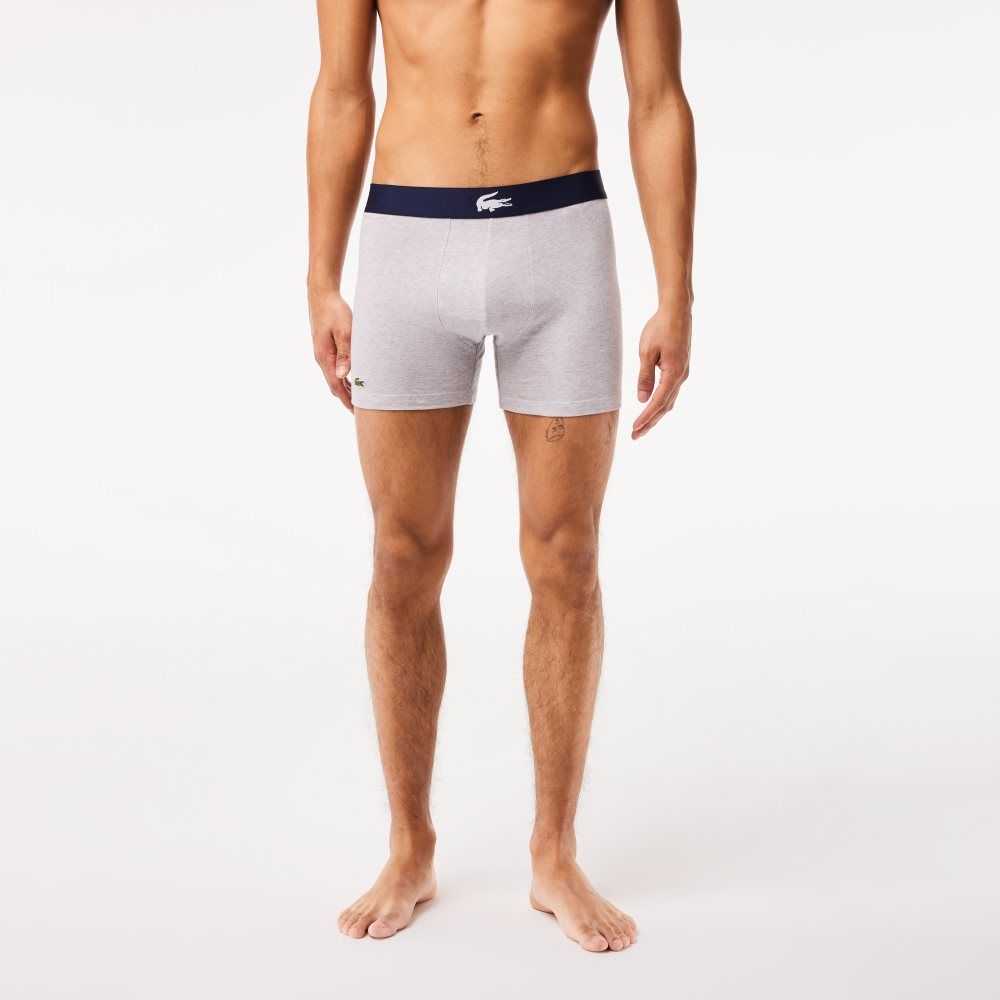 Lacoste Crocodile Midja Long Stretch Bomull Boxer Brief 3-Pack Marinblå Blå Vita Grå Marinblå Blå | GTWJF-3695