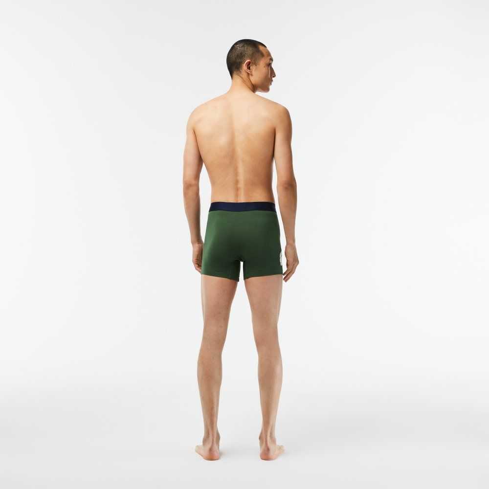 Lacoste Crocodile Midja Long Stretch Bomull Boxer Brief 3-Pack Gröna Marinblå Blå Vita | KPCRF-6187