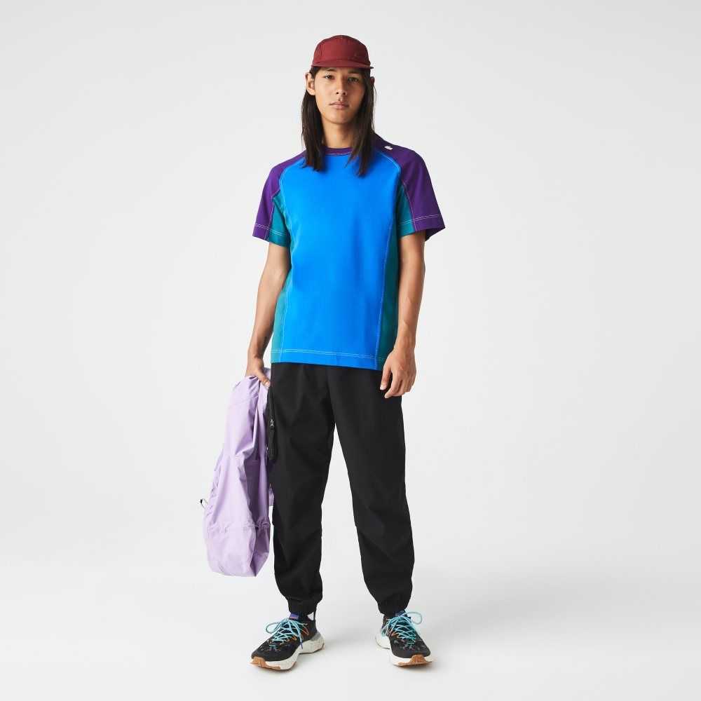 Lacoste Heritage Regular Fit Color-Block Stretch Pique Blå Gröna Lila | EPDSB-6748