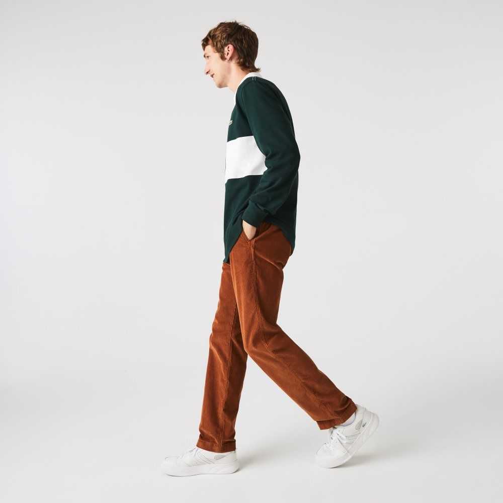 Lacoste Hetero Fit Corduroy Chinos Bruna | SMDVA-6389