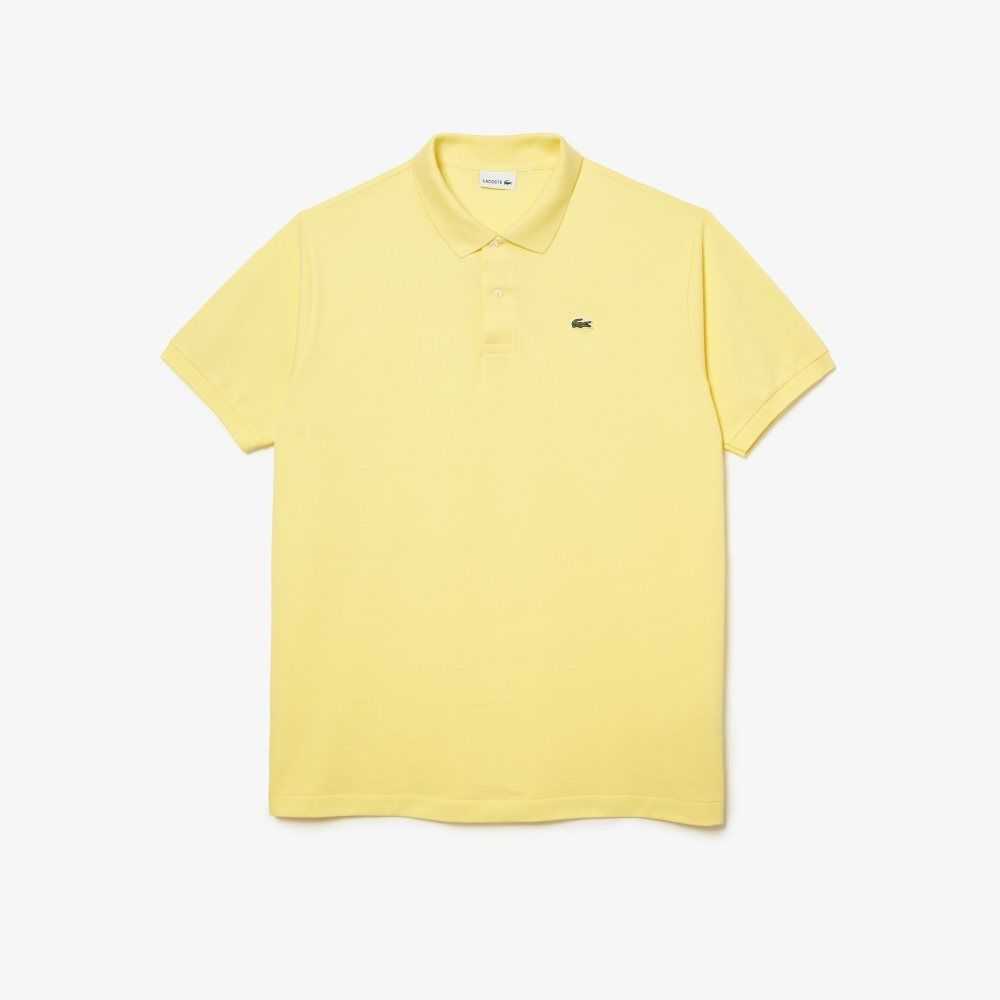 Lacoste Höga Fit Bomull Petit Pique Gula | NKEQL-9741