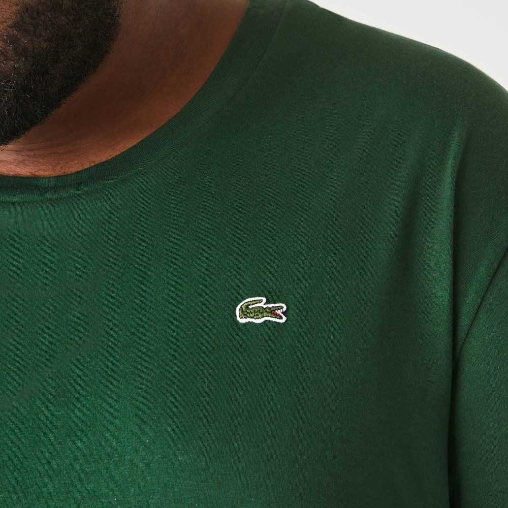 Lacoste Höga Fit Pima Bomull Jersey Gröna | LSVWQ-1935