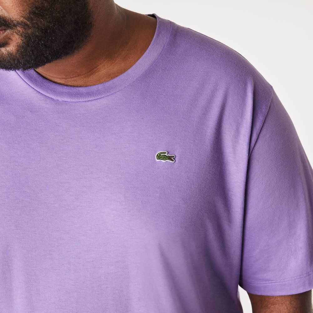 Lacoste Höga Fit Pima Bomull Jersey Lila | TEUBJ-2869