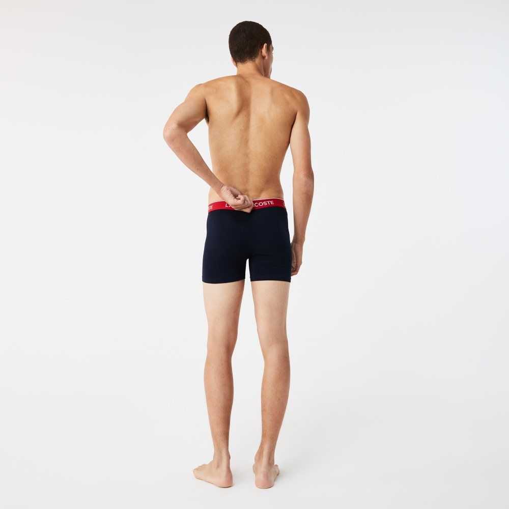 Lacoste Long Bomull Boxer Brief 3-Pack Marinblå Blå Gröna Röda Marinblå Blå | SZKHX-0157