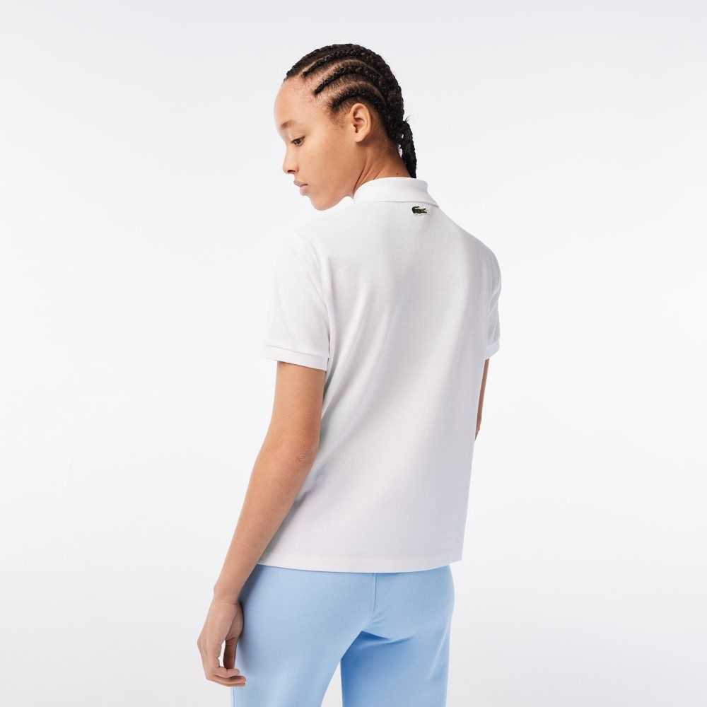 Lacoste Netflix Crocodile Olika Färger | FCAKM-8974