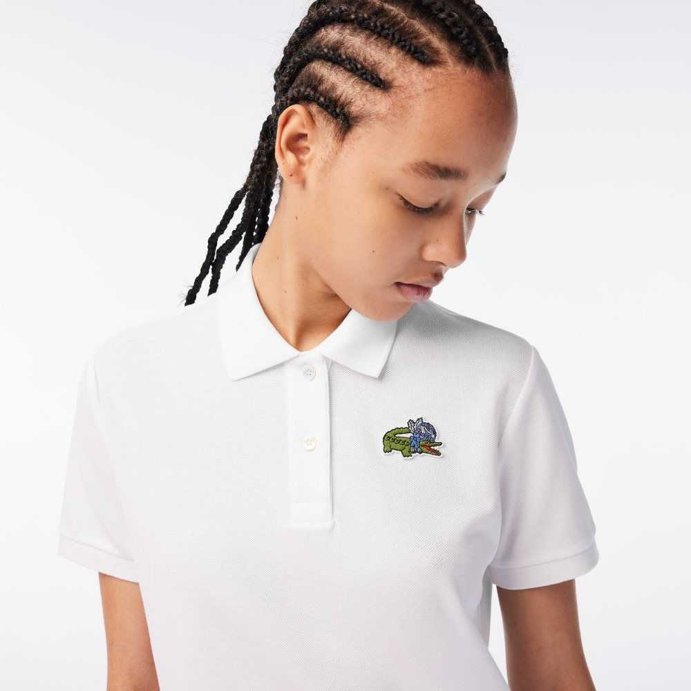 Lacoste Netflix Crocodile Olika Färger | FCAKM-8974