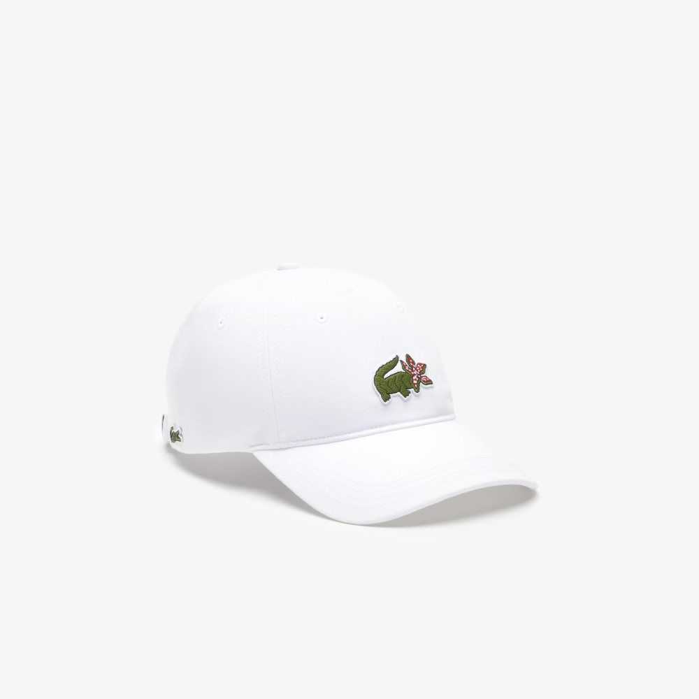 Lacoste Netflix Crocodile Olika Färger | LWPTU-9865