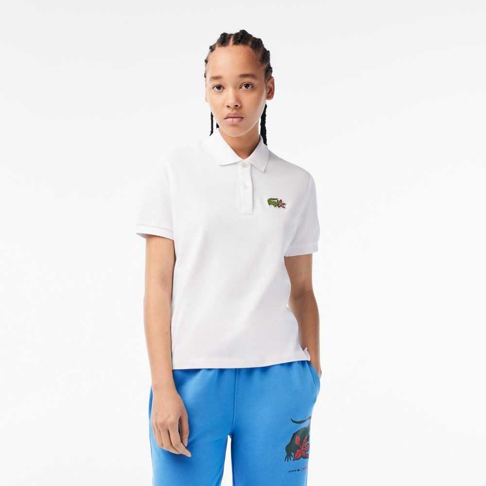 Lacoste Netflix Crocodile Olika Färger | NOIEL-9608