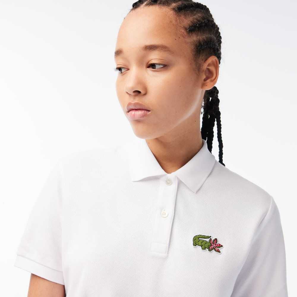 Lacoste Netflix Crocodile Olika Färger | NOIEL-9608