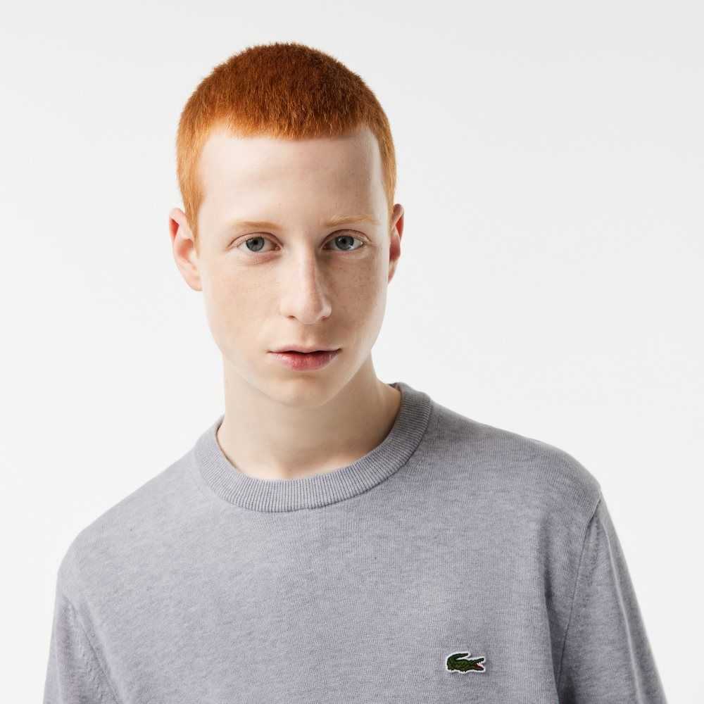 Lacoste Organic Bomull Crew Neck Grå | IZNUM-9651