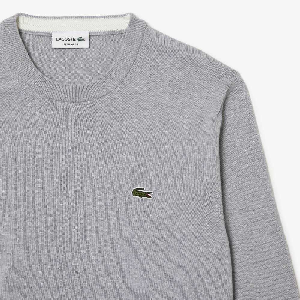 Lacoste Organic Bomull Crew Neck Grå | IZNUM-9651